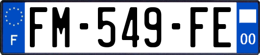 FM-549-FE
