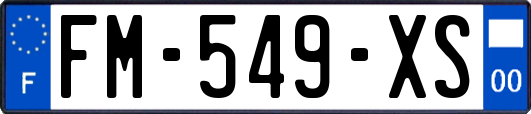 FM-549-XS