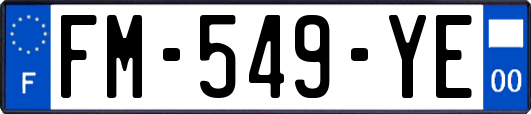 FM-549-YE