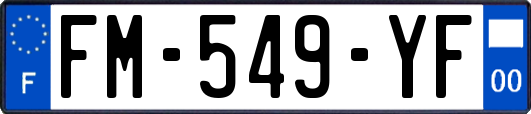 FM-549-YF