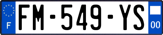 FM-549-YS