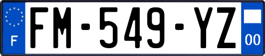 FM-549-YZ