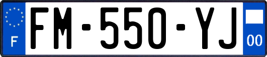 FM-550-YJ