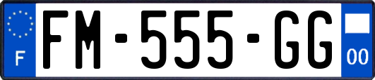 FM-555-GG