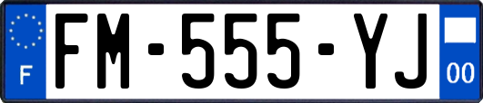 FM-555-YJ