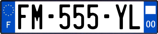 FM-555-YL