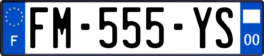 FM-555-YS