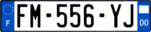 FM-556-YJ