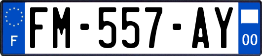 FM-557-AY