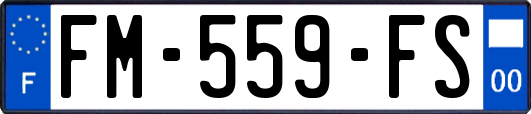 FM-559-FS