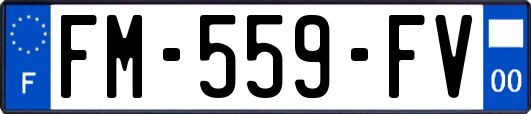 FM-559-FV