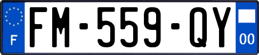 FM-559-QY