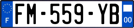 FM-559-YB