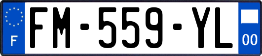 FM-559-YL