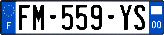 FM-559-YS