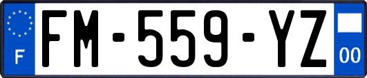 FM-559-YZ