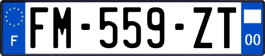 FM-559-ZT