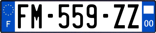 FM-559-ZZ