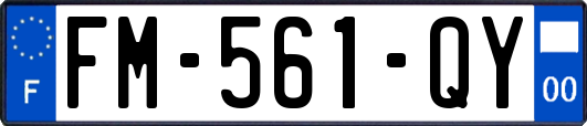 FM-561-QY