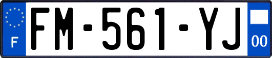 FM-561-YJ