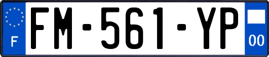 FM-561-YP