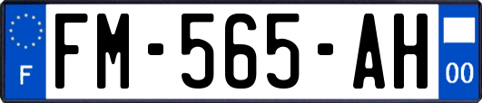 FM-565-AH