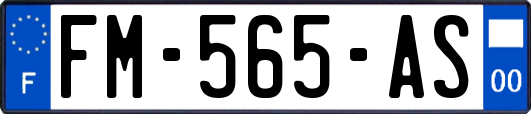 FM-565-AS