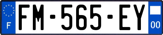 FM-565-EY