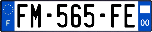 FM-565-FE