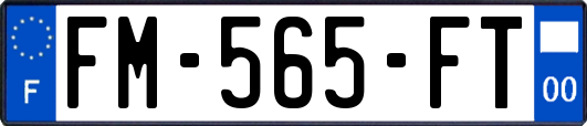 FM-565-FT