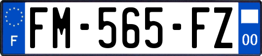 FM-565-FZ