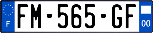 FM-565-GF