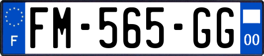 FM-565-GG