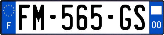 FM-565-GS