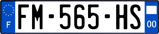 FM-565-HS