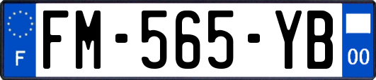 FM-565-YB