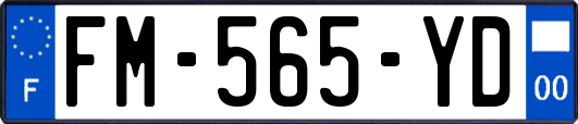 FM-565-YD