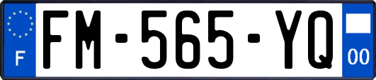 FM-565-YQ