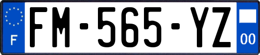 FM-565-YZ