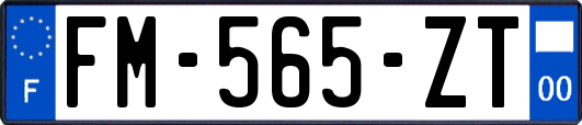 FM-565-ZT