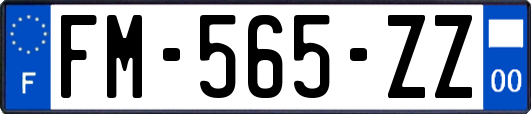 FM-565-ZZ