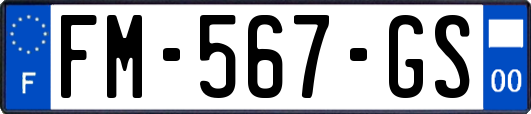 FM-567-GS