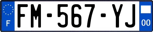 FM-567-YJ
