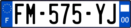 FM-575-YJ