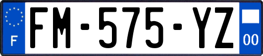 FM-575-YZ