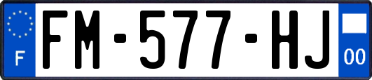 FM-577-HJ