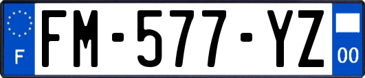 FM-577-YZ