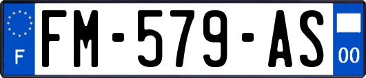 FM-579-AS