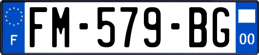 FM-579-BG