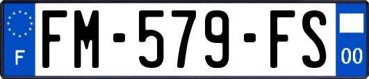 FM-579-FS